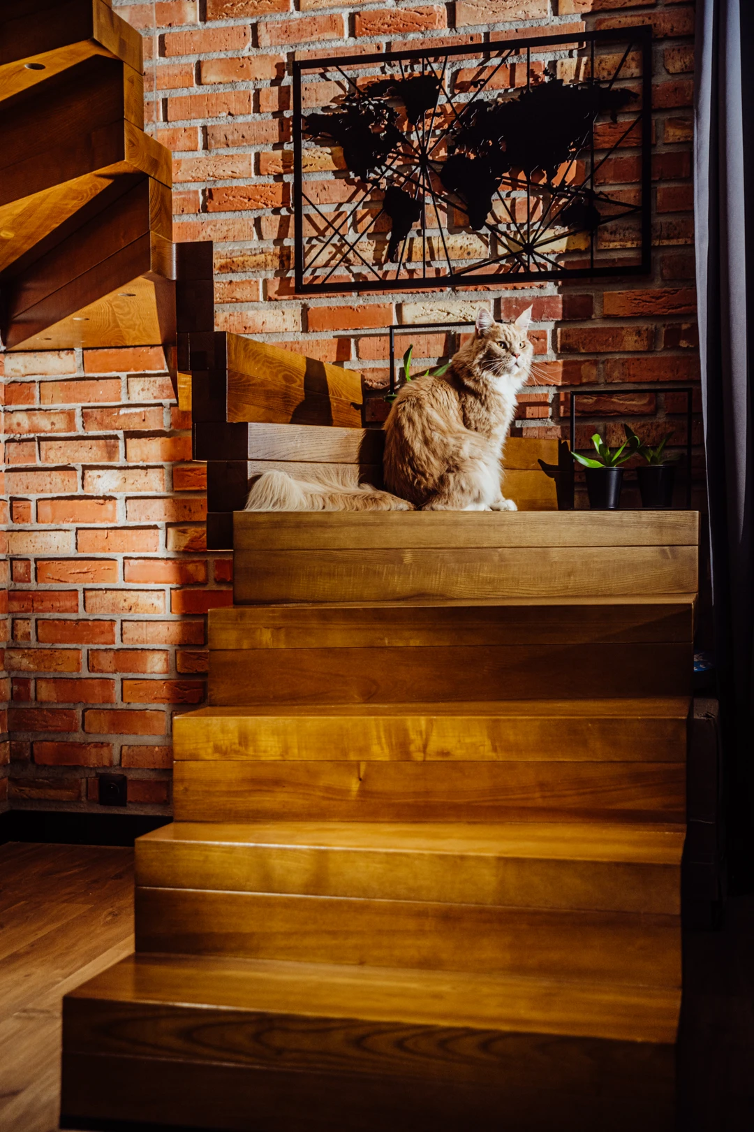 Faltwerktreppe aus gebeizter Esche mit eingelassenem Glasgeländer  2