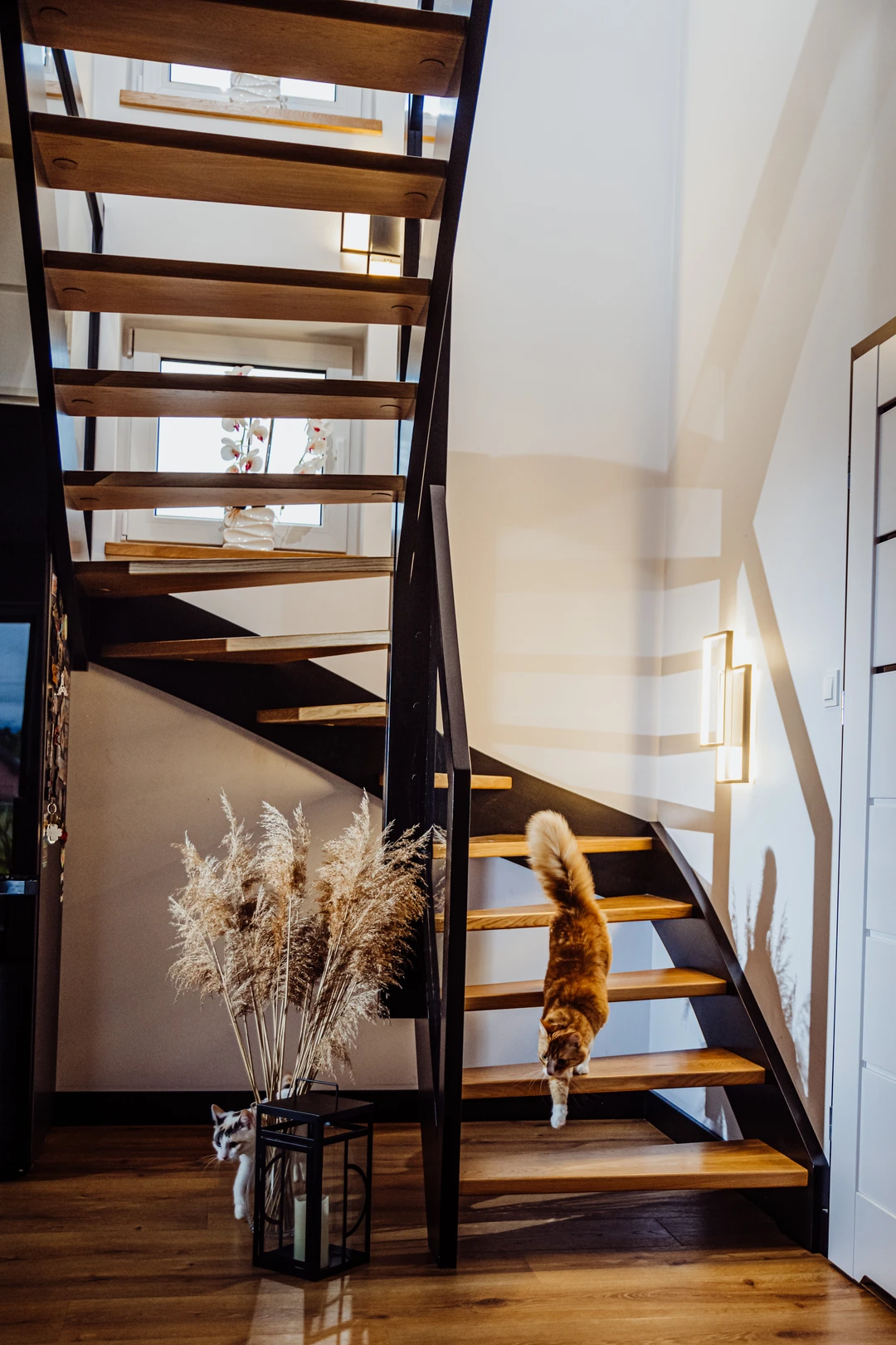 Wangentreppe mit Glasgeländer, lackierten Stufen in Naturholzfarbe sowie schwarzen Wangen, Pfosten und Handlauf  1