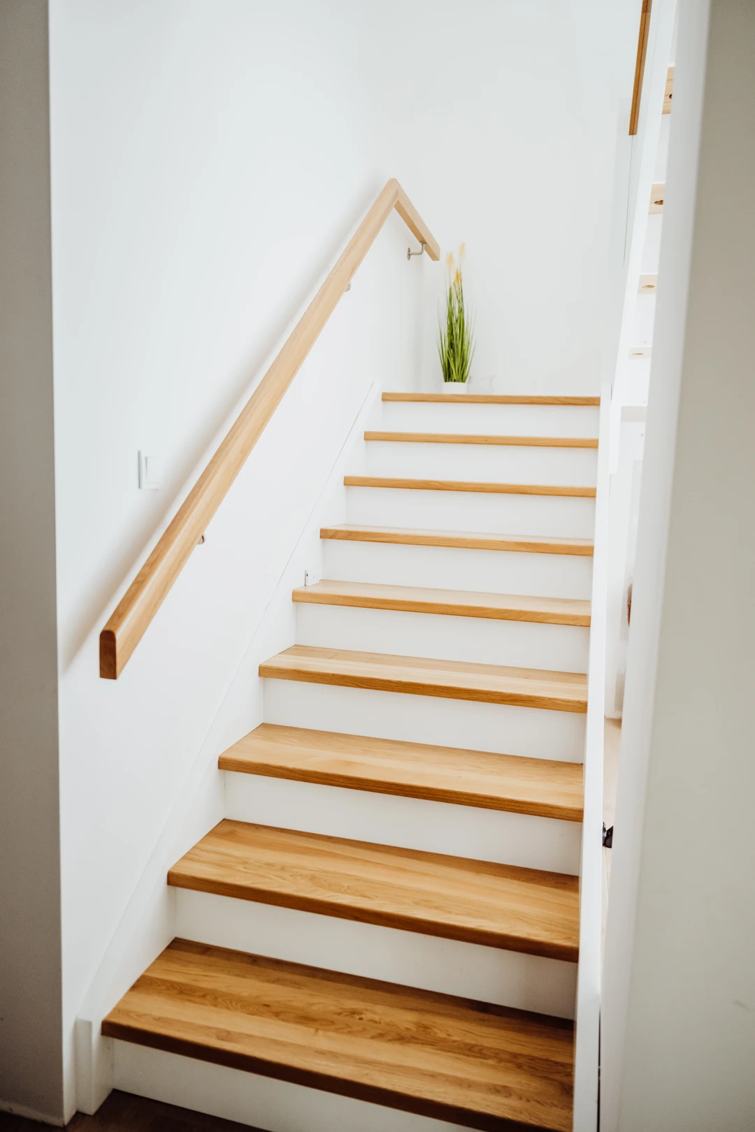 Wangentreppe mit Glasgeländer mit Pfosten und Glasklemmen und Handlauf Naturholzfarbe Lackiert  1